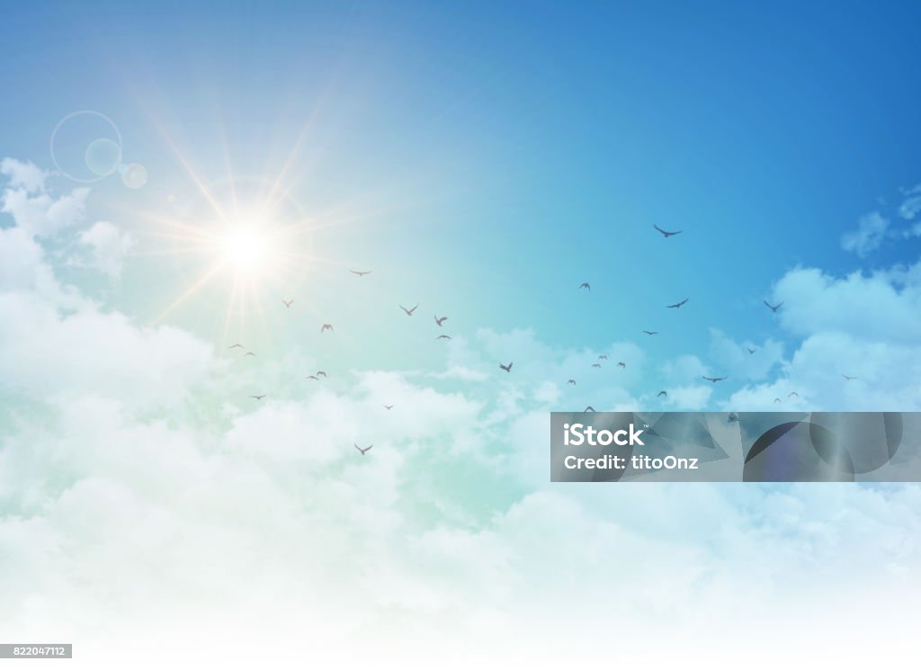 Birds flight in rising sun Early morning blue sky in sunrise, white clouds and free birds flying away Bird Stock Photo