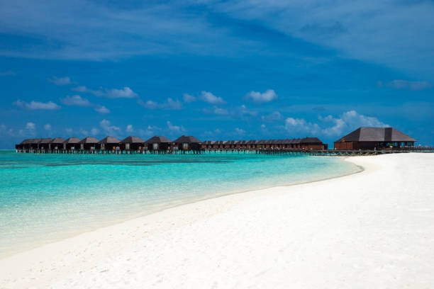 istock beach with water bungalows at Maldives 822054340