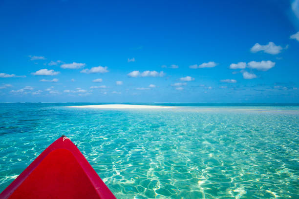 istock tropical beach in Maldives 822054404