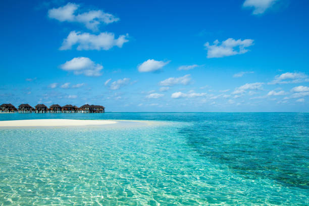 istock beach with water bungalows at Maldives 822054410