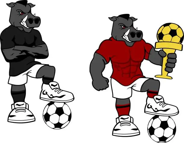 Vector illustration of soccer futbol strong wild pig cartoon set