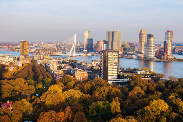 istock Aerial panorama of Rotterdam 822066542