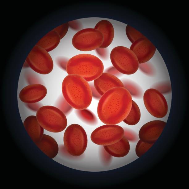Bloodstream Visual Element 40+ Particles Blood Stream Stock Illustrations, Royalty-Free Vector ...