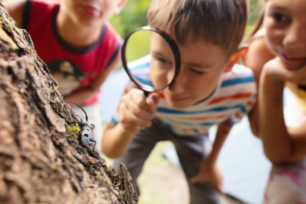 kleine entdecker in der natur - child discovery outdoors playing stock-fotos und bilder
