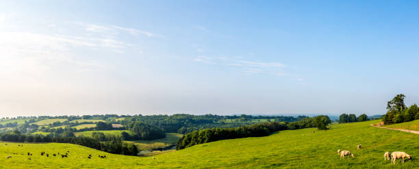 istock South Somerset Countryside UK 822101386