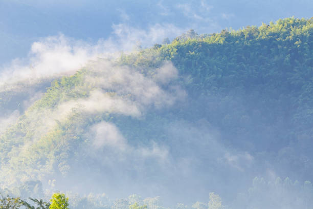 Beautiful Misty Morning with Beautiful Sunrise which clear blue sky in morning at Doi Mae Salong, Chiang Rai, Thailand.