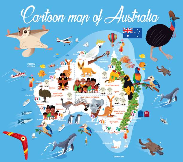illustrazioni stock, clip art, cartoni animati e icone di tendenza di mappa dei cartoni animati dell'australia - koala australian culture cartoon animal
