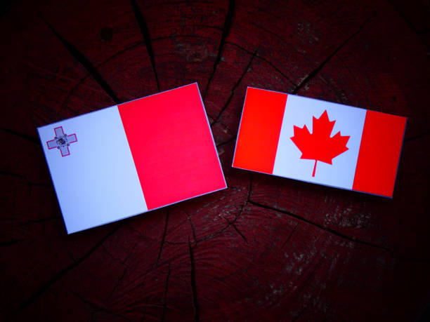 istock Maltese flag with Canadian flag on a tree stump isolated 822113554