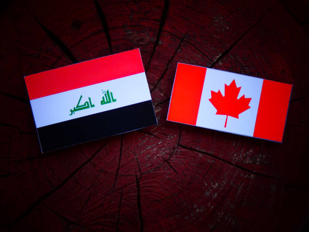 istock Iraqi flag with Canadian flag on a tree stump isolated 822116352