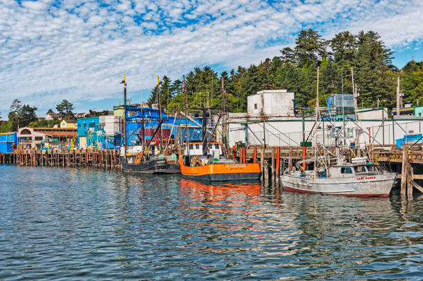 blick auf den newport oregon hafen mit booten und gebäuden - newport oregon stock-fotos und bilder