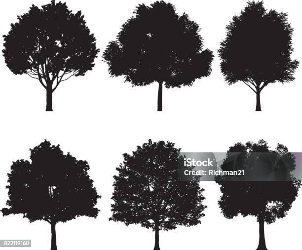 Vector Illustration Of Tree Silhouettes Stock Illustration - Download Image Now - Oak Tree, Tree, Maple Tree