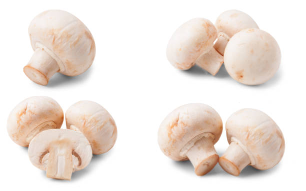 istock Fresh champignon mushrooms isolated on white background. Set or collection 822123814