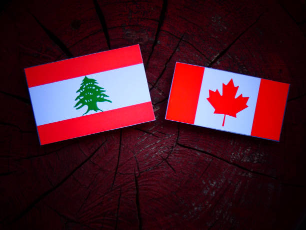 istock Lebanese flag with Canadian flag on a tree stump isolated 822128368