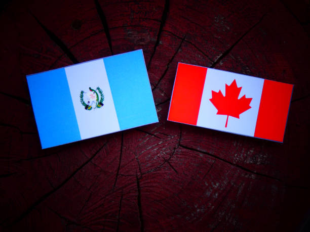 istock Guatemalan flag with Canadian flag on a tree stump isolated 822137776