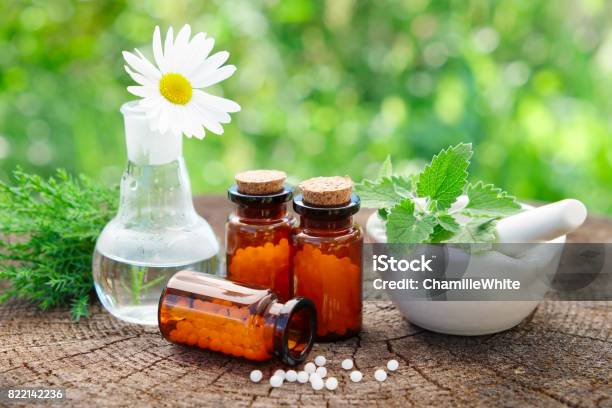 Bottles Of Homeopathic Globules Mortar With Mint Leaves Daisy Flower In Flask And Juniper Bunch Homeopathy Medicine Concept Stock Photo - Download Image Now