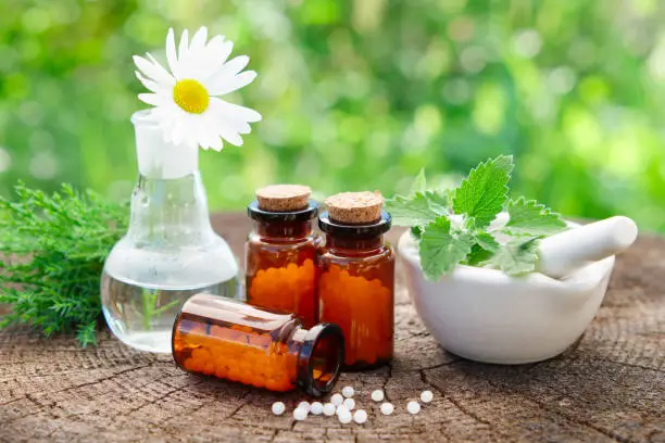 Bottles of homeopathic globules, mortar with mint leaves, daisy flower in flask and juniper bunch. Homeopathy medicine concept.