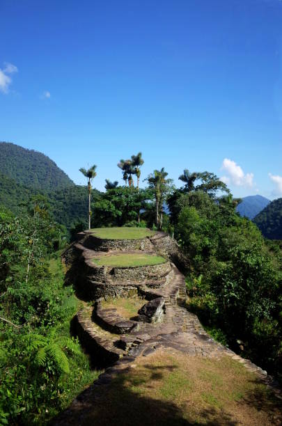 istock The Lost City in Colombia 822147346