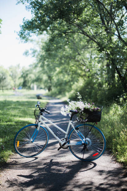 istock Bicycle is parked with wild flowers in basket 822150206