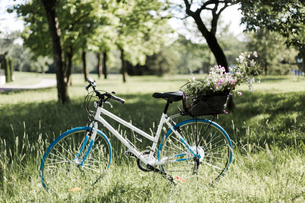 istock Bicycle is parked with wild flowers in basket 822150214