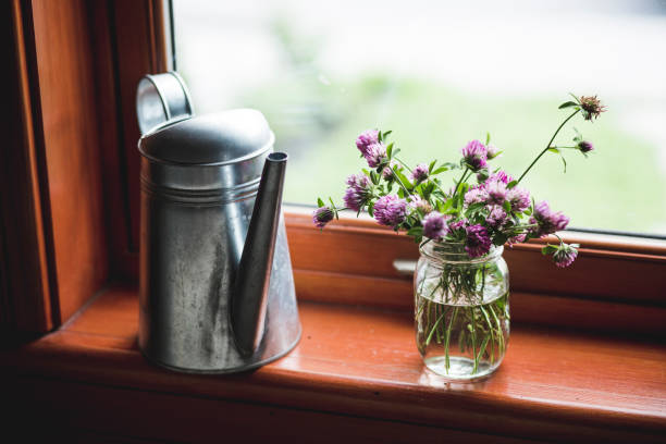 Scenic view of flowers on a windowsill at the Hill of Tara in Ireland