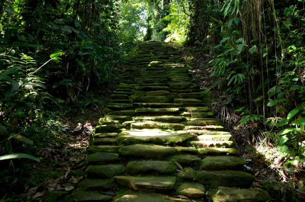 istock Stone paths leading to Ciudad Perdida (Lost City) in Colombia 822150688