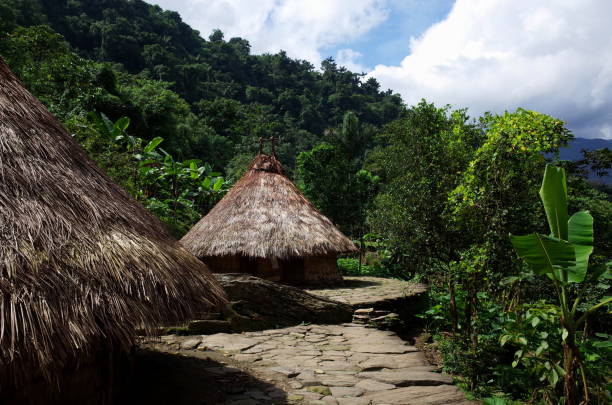 istock Indigenous houses at Ciudad Perdida (Lost City) in Colombia 822154332