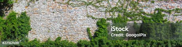 Old Wall Overgrown With Ivy Stock Photo - Download Image Now - Ivy, Wall - Building Feature, Stone Wall