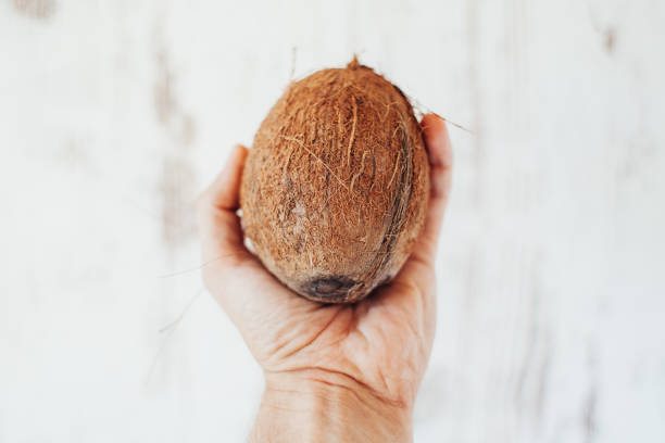 Closeup men hand holding coconut stock photo