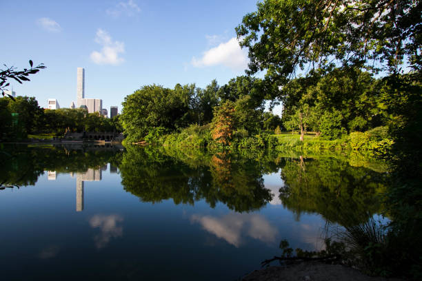 istock Reflection of trees and buildings with blue sky in Manhattan 822181870