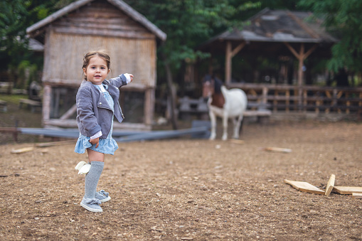 Baby girl points to a horse