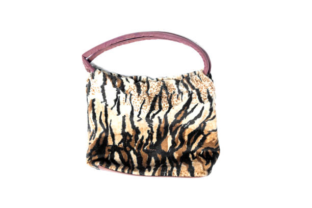 lady bag. women bag isolated on background
