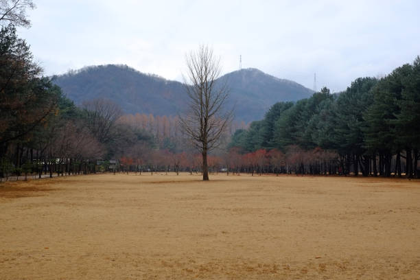 winter