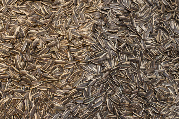 istock Backgroud Top View Close Up of Ingredient material, selective focus blur 822229964