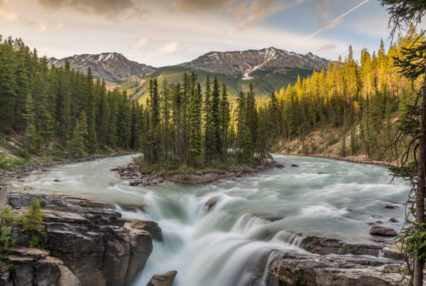 istock Sunwapta Falls, Canada, Alberta, Jasper National Park, Sunwapta falls 822241528