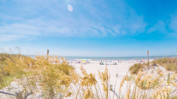 istock Summer vacation on the beach 822249282