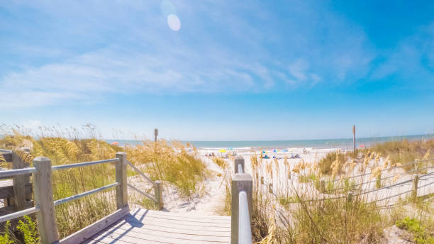Summer vacation on the beach