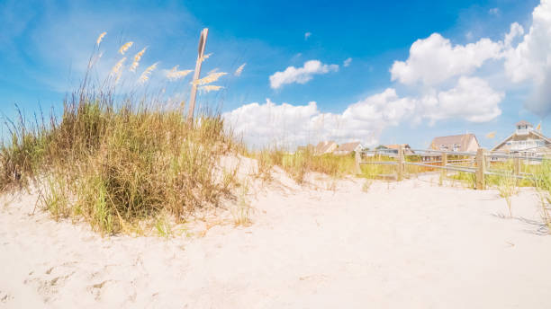istock Summer vacation on the beach 822249348