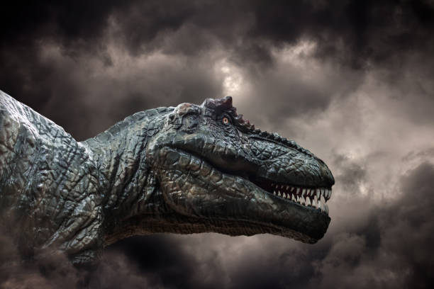 istock Tyrannosaurus rex in the storm 822257568