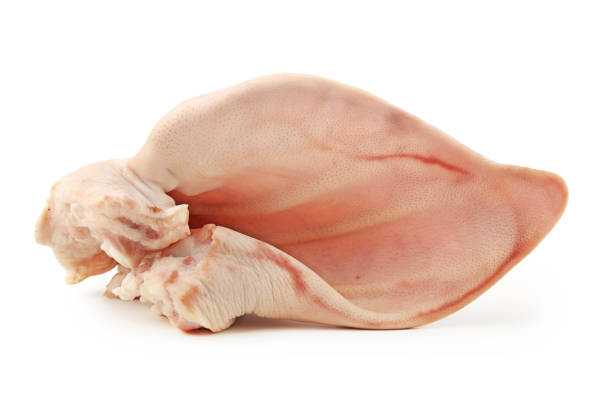 istock Pork ears on pure white background 822265056