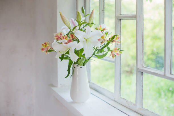 istock beautiful white lily in vase on windowsill 822306794