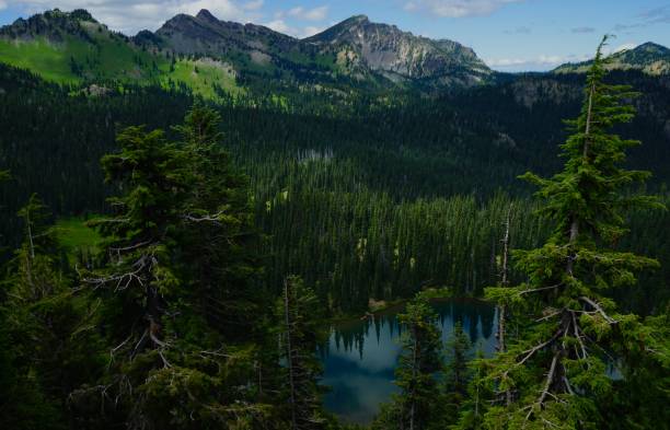 istock Mt. Rainier's Sunrise Lake 822309850