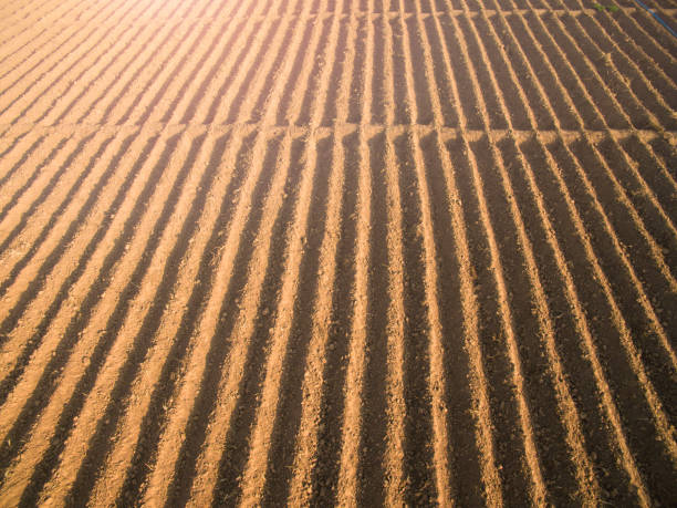 Rows of soil before planting.Furrows row pattern in a plowed field prepared for planting crops in spring. stock photo
