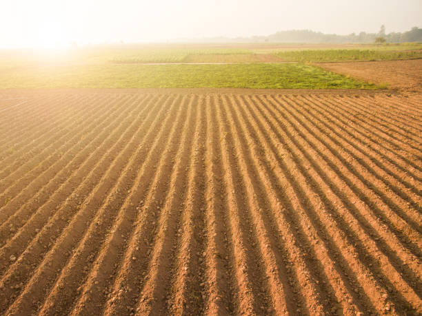 Aerial view ; Rows of soil before planting.Furrows row pattern in a plowed field prepared for planting crops in spring.Horizontal view in perspective. stock photo
