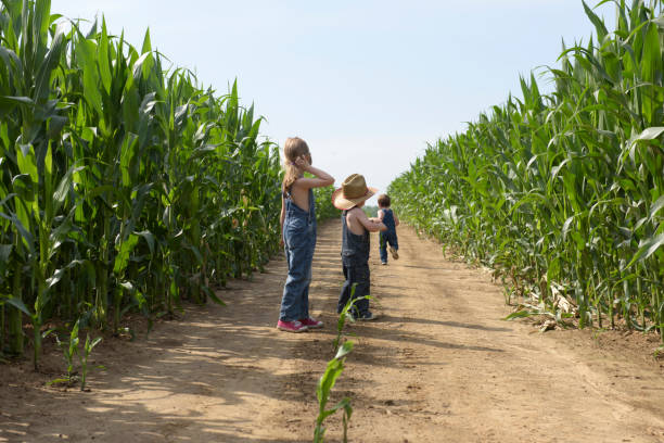 istock cowboy siblings walking in the fields 822345278