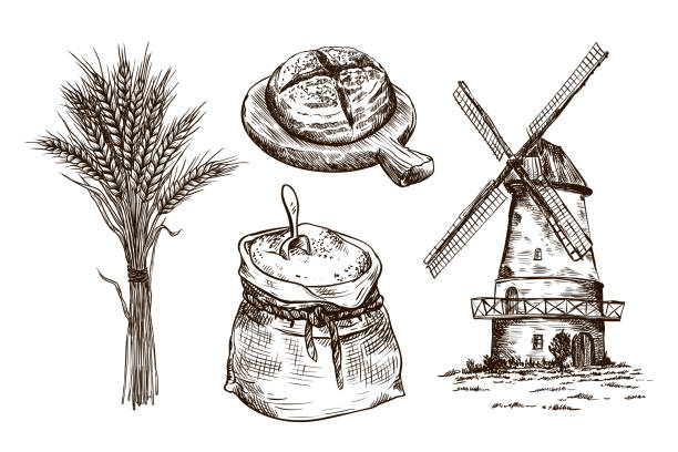 ilustrações de stock, clip art, desenhos animados e ícones de sack of flour, windmill and fresh bakery products. homemade baking. bakery products. vector sketches on white - baked potato