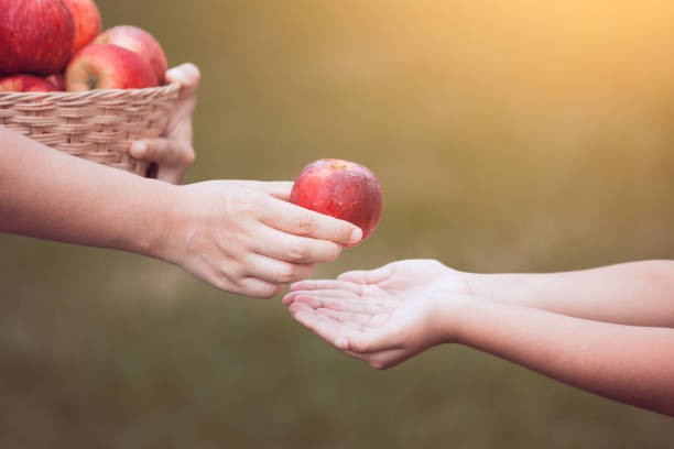мать фермера стороны давая яблоки для маленькой девочки руку в саду - apple eating little girls green стоковые фото и изображения