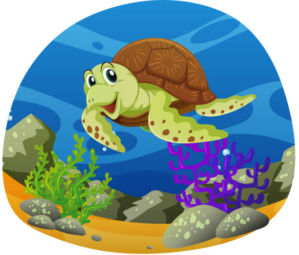 Sea turtle swimming under the sea Sea turtle swimming under the sea illustration sea turtle clipart stock illustrations