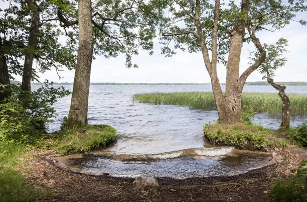 Furesøen (The Fure Lake) is one of the biggest freshwater lakes in Denmark. The south side is af popular place to take hikes and enjoy the nature