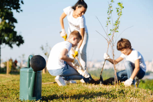 istock Sister and her brothers making good for nature 822392022