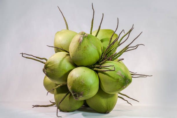 istock still life flesh coconut fruit 822392042